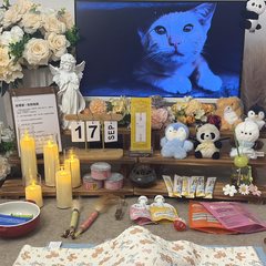 宠物家长客户见证